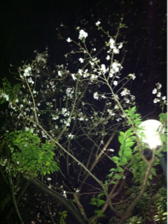 image-20131102003608.png