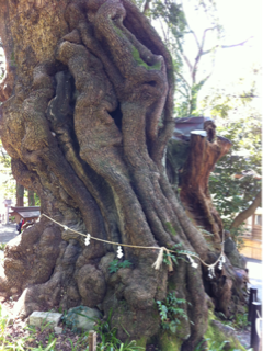 image-20150418190123.png
