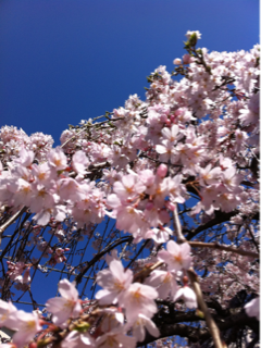 image-20150418190155.png