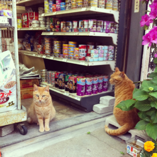 image-20150620194816.png